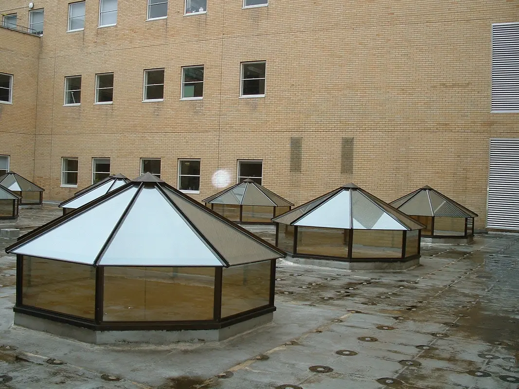 Flat Roof Skylights Lewisham